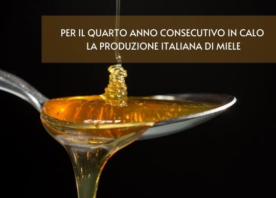 PRODUZIONE MIELE IN CALO.jpg